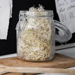 Glasdose 1L -Home Essentials Günstiges Geschäft 300794 14382 1