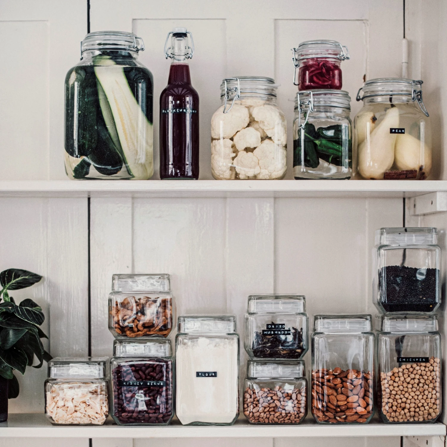 Glasdose 4L 5 Glasdose 4L – Bild 5