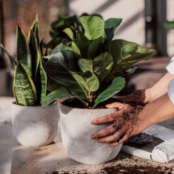 Blumentopf Beton Rund Ø15cm -Home Essentials Günstiges Geschäft 302143 25172