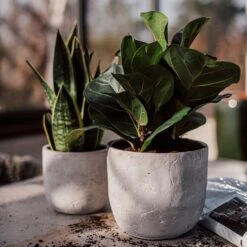 Blumentopf Beton Rund Ø15cm -Home Essentials Günstiges Geschäft 302143 25173