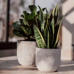 Blumentopf Beton Rund Ø15cm -Home Essentials Günstiges Geschäft 302143 25174