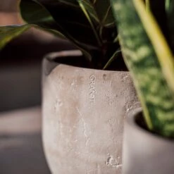 Blumentopf Beton Rund Ø19cm -Home Essentials Günstiges Geschäft 302145 25175 1