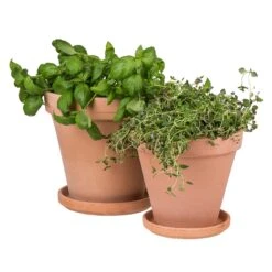 Blumentopf Terrakotta Ø18cm -Home Essentials Günstiges Geschäft 371269 5189