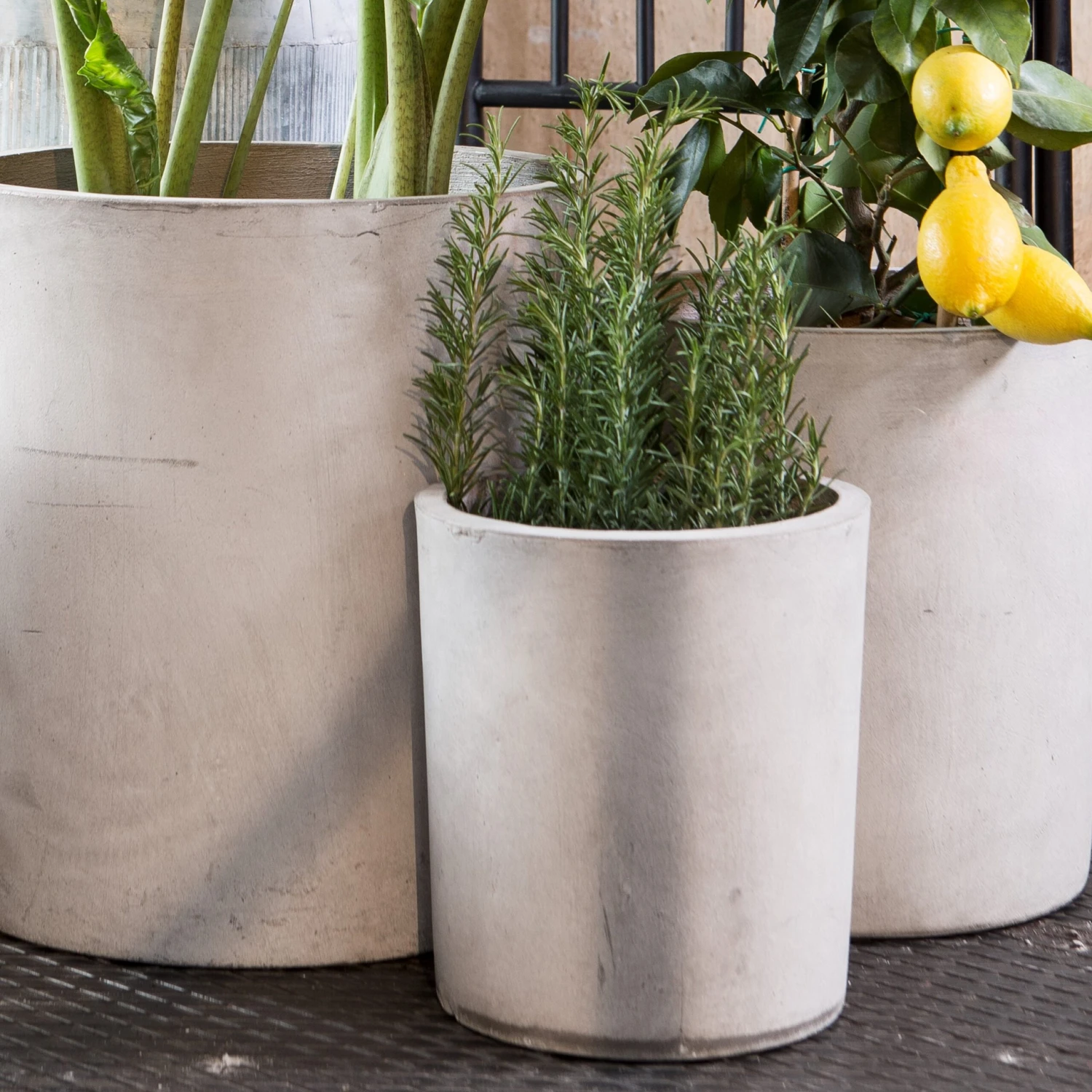 Blumentopf Beton Zylinder Ø18cm 2 Blumentopf Beton Zylinder Ø18cm – Bild 2