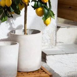 Blumentopf Beton Zylinder Ø18cm 8 Blumentopf Beton Zylinder Ø18cm -Home Essentials Günstiges Geschäft 371961 12950 1