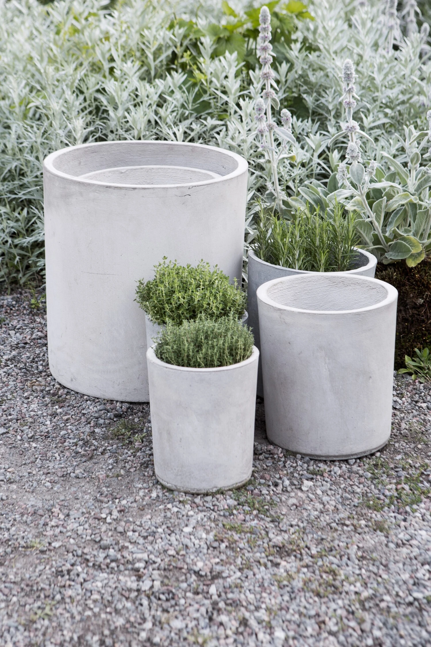 Blumentopf Beton Zylinder Ø31cm 4 Blumentopf Beton Zylinder Ø31cm – Bild 4