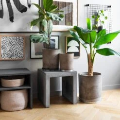 Blumentopf Beton Zylinder Ø31cm 11 Blumentopf Beton Zylinder Ø31cm -Home Essentials Günstiges Geschäft 371963 21332 1