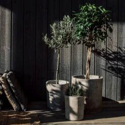 Blumentopf Beton Zylinder Ø31cm 10 Blumentopf Beton Zylinder Ø31cm -Home Essentials Günstiges Geschäft 371963 33437 1