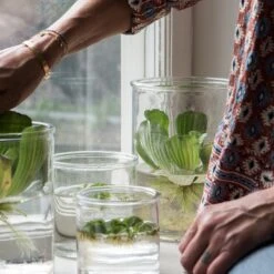 Vase Glas Ø14cm -Home Essentials Günstiges Geschäft 373209 13946 1