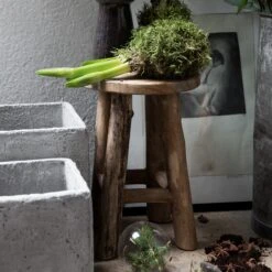 Hocker Teak Klein 8 Hocker Teak Klein -Home Essentials Günstiges Geschäft 373260 13886