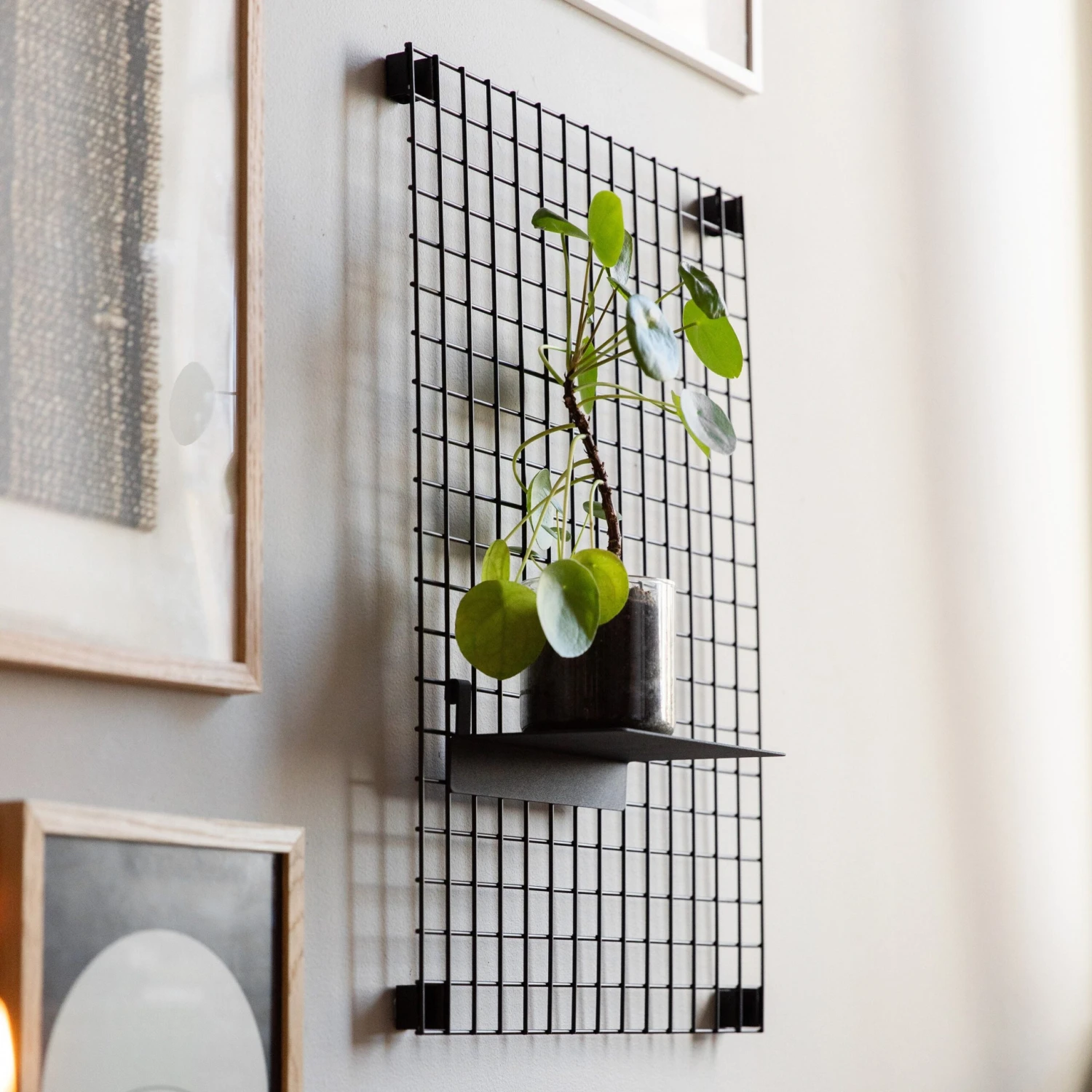 Regal Haken Schwarz 3 Regal Haken Schwarz – Bild 3