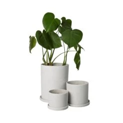 Blumentopf/Teller Polystone Mittel Weiß -Home Essentials Günstiges Geschäft 373542 14311 1