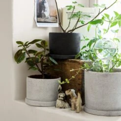 Blumentopf/Teller Polystone Mittel Weiß -Home Essentials Günstiges Geschäft 373542 15732 1