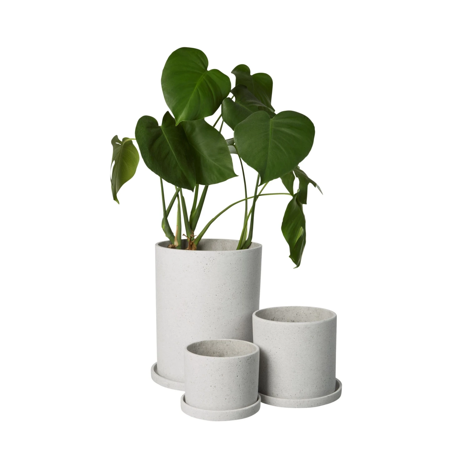 Blumentopf/Teller Polystone Groß Weiß 3 Blumentopf/Teller Polystone Groß Weiß – Bild 3