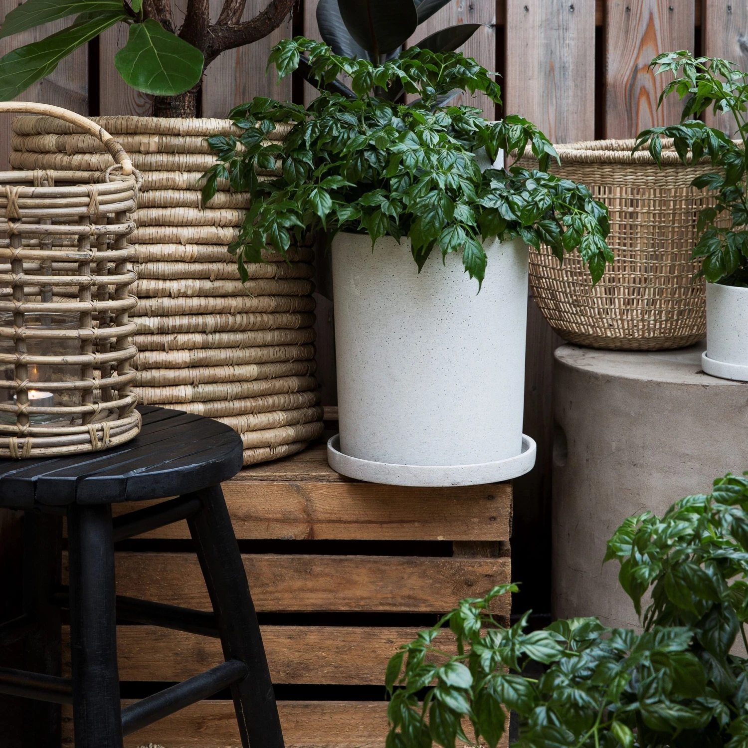 Blumentopf/Teller Polystone Groß Weiß 5 Blumentopf/Teller Polystone Groß Weiß – Bild 5