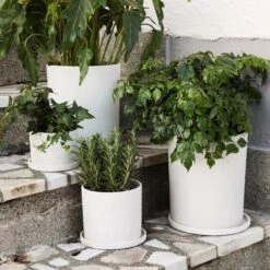 Blumentopf/Teller Polystone Groß Weiß 11 Blumentopf/Teller Polystone Groß Weiß -Home Essentials Günstiges Geschäft 373543 14851