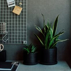 Blumentopf/Teller Polystone Klein Schwarz -Home Essentials Günstiges Geschäft 373916 28814