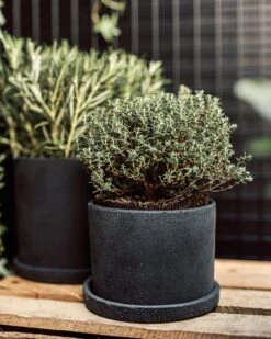 Blumentopf/Teller Polystone Klein Schwarz -Home Essentials Günstiges Geschäft 373916 38949