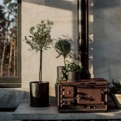 Blumentopf/Teller Polystone Mittel Schwarz -Home Essentials Günstiges Geschäft 373917 34163 1