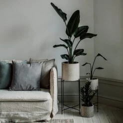 Piedestal Metall Klein -Home Essentials Günstiges Geschäft 374064 32643