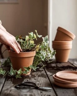 Blumentopf Terrakotta Ø 13,5 Cm -Home Essentials Günstiges Geschäft 374451 38947