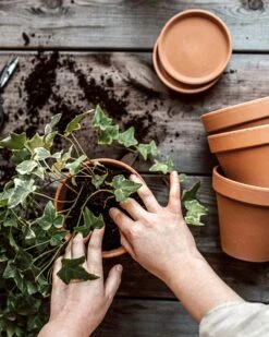 Blumentopf Terrakotta Ø 13,5 Cm -Home Essentials Günstiges Geschäft 374451 38948