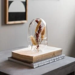 Pflanzenkuppel Glas Klein -Home Essentials Günstiges Geschäft 375457 21323