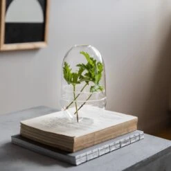 Pflanzenkuppel Glas Klein -Home Essentials Günstiges Geschäft 375457 21326