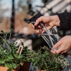 Sprühflasche Glas -Home Essentials Günstiges Geschäft 375610 25218
