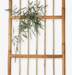 Spalier Rattan -Home Essentials Günstiges Geschäft 375691 19173 3