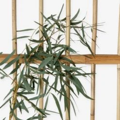 Spalier Rattan -Home Essentials Günstiges Geschäft 375691 19197 3