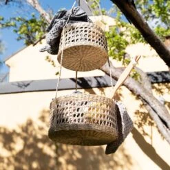 Hanging Basket Seaweed 8 Hanging Basket Seaweed -Home Essentials Günstiges Geschäft 375719 20296 3