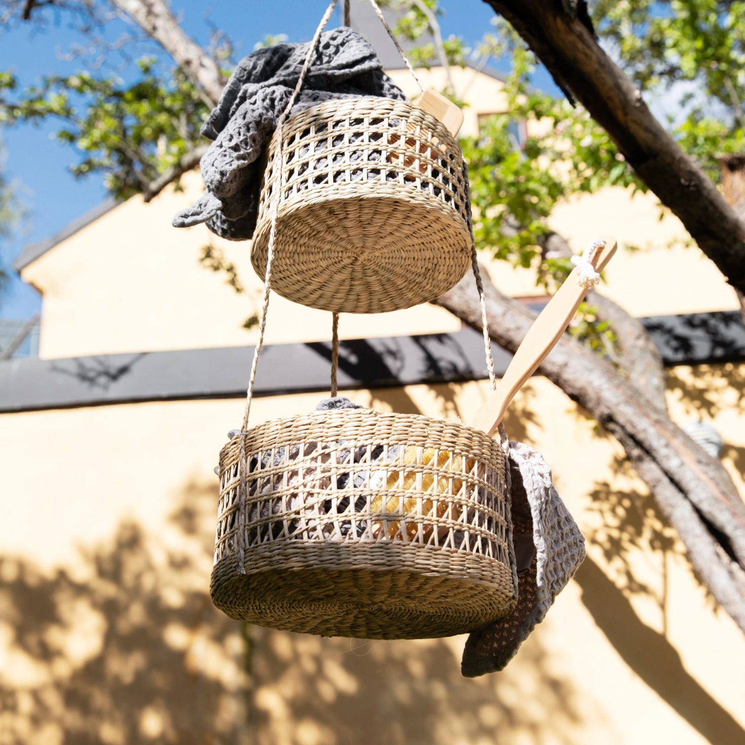 Hanging Basket Seaweed 3 Hanging Basket Seaweed – Bild 3