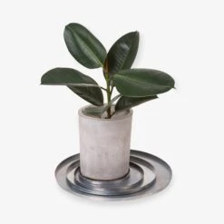 Blumentopfuntersetzer Eisen Silber Ø 17 Cm -Home Essentials Günstiges Geschäft 375756 19278 3
