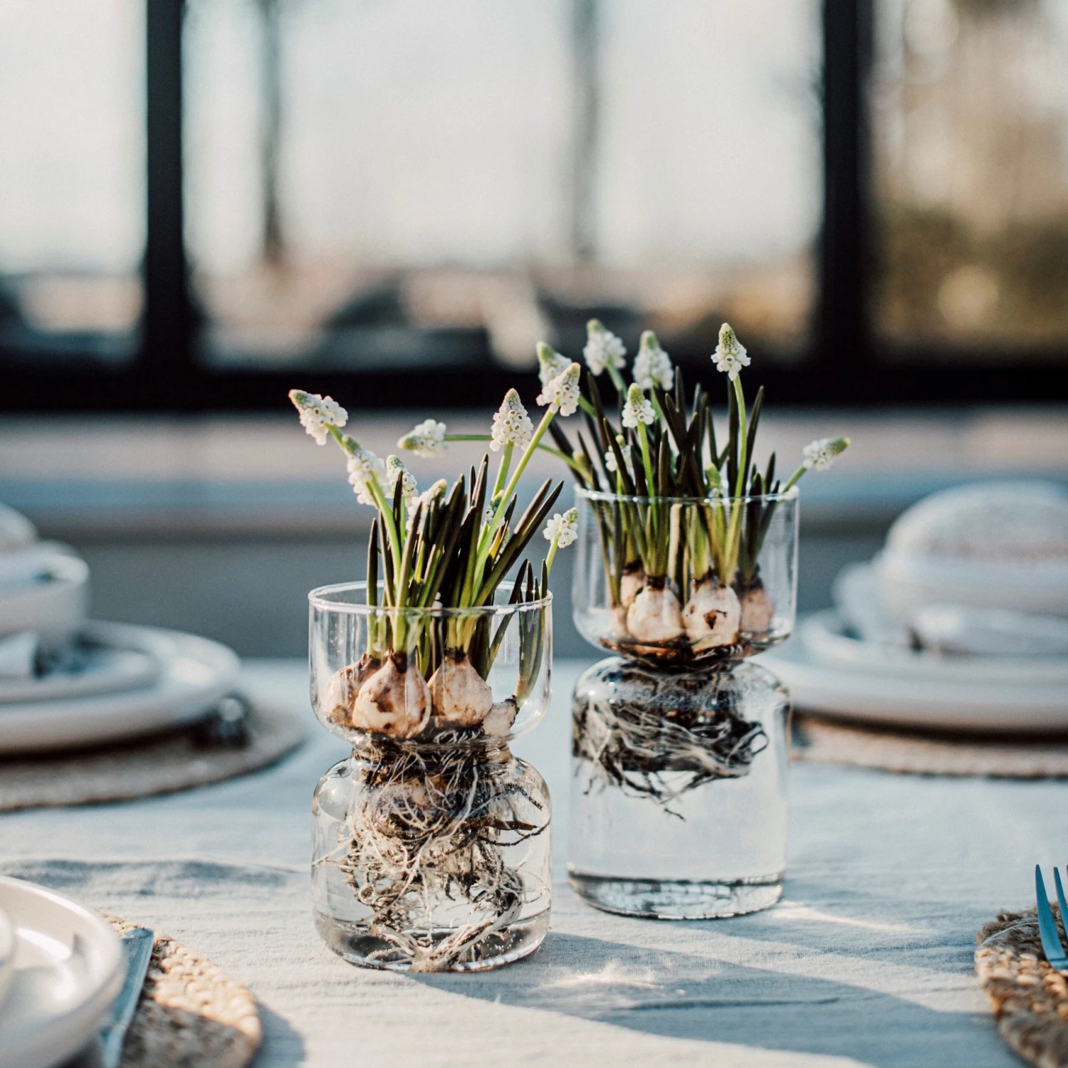 Hyazinthenvase Glatt Klarglas Groß 4 Hyazinthenvase Glatt Klarglas Groß – Bild 4