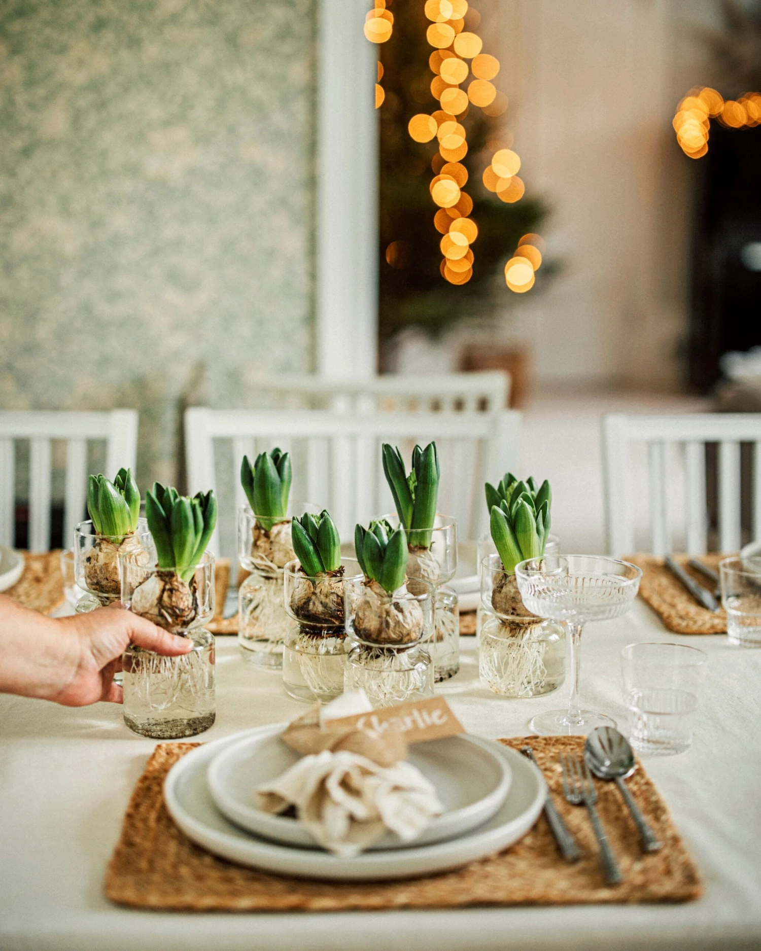 Hyazinthenvase Glatt Klarglas Groß 5 Hyazinthenvase Glatt Klarglas Groß – Bild 5