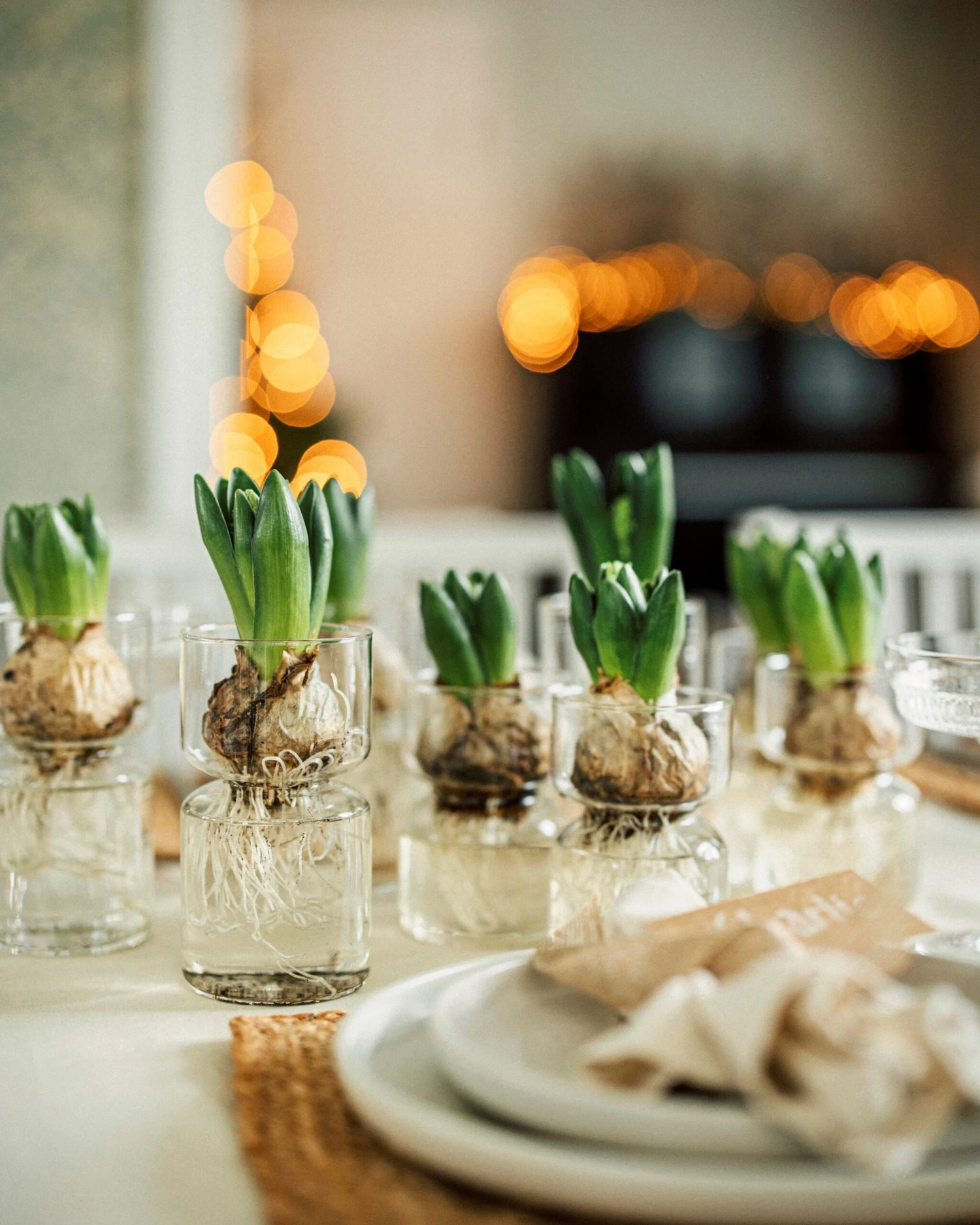 Hyazinthenvase Glatt Klarglas Groß 6 Hyazinthenvase Glatt Klarglas Groß – Bild 6