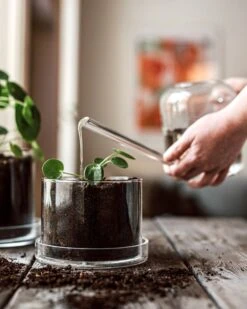 Blumentopf/Untersetzer Glaszylinder Klein -Home Essentials Günstiges Geschäft 376352 38953