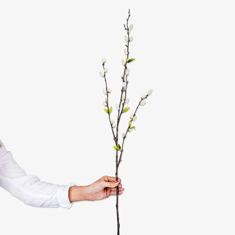 Home Essentials Günstiges Geschäft 37 Home Essentials Günstiges Geschäft -Home Essentials Günstiges Geschäft 400718 33901 768x768 1