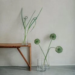 Vase Glas Zylinder H 20 Cm Ø 15 Cm -Home Essentials Günstiges Geschäft 400752 29507