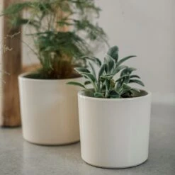 Blumentopf Glasiert 13 Cm Creme -Home Essentials Günstiges Geschäft 400888 28330