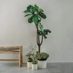 Blumentopf Glasiert 13 Cm Creme -Home Essentials Günstiges Geschäft 400888 28333