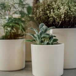 Blumentopf Glasiert 13 Cm Creme -Home Essentials Günstiges Geschäft 400888 28335