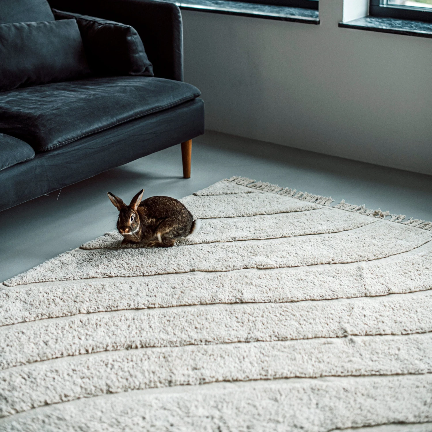 Teppich Big Flow 200 X 300 Cm Cremeweiß 6 Teppich Big Flow 200 X 300 Cm Cremeweiß – Bild 6