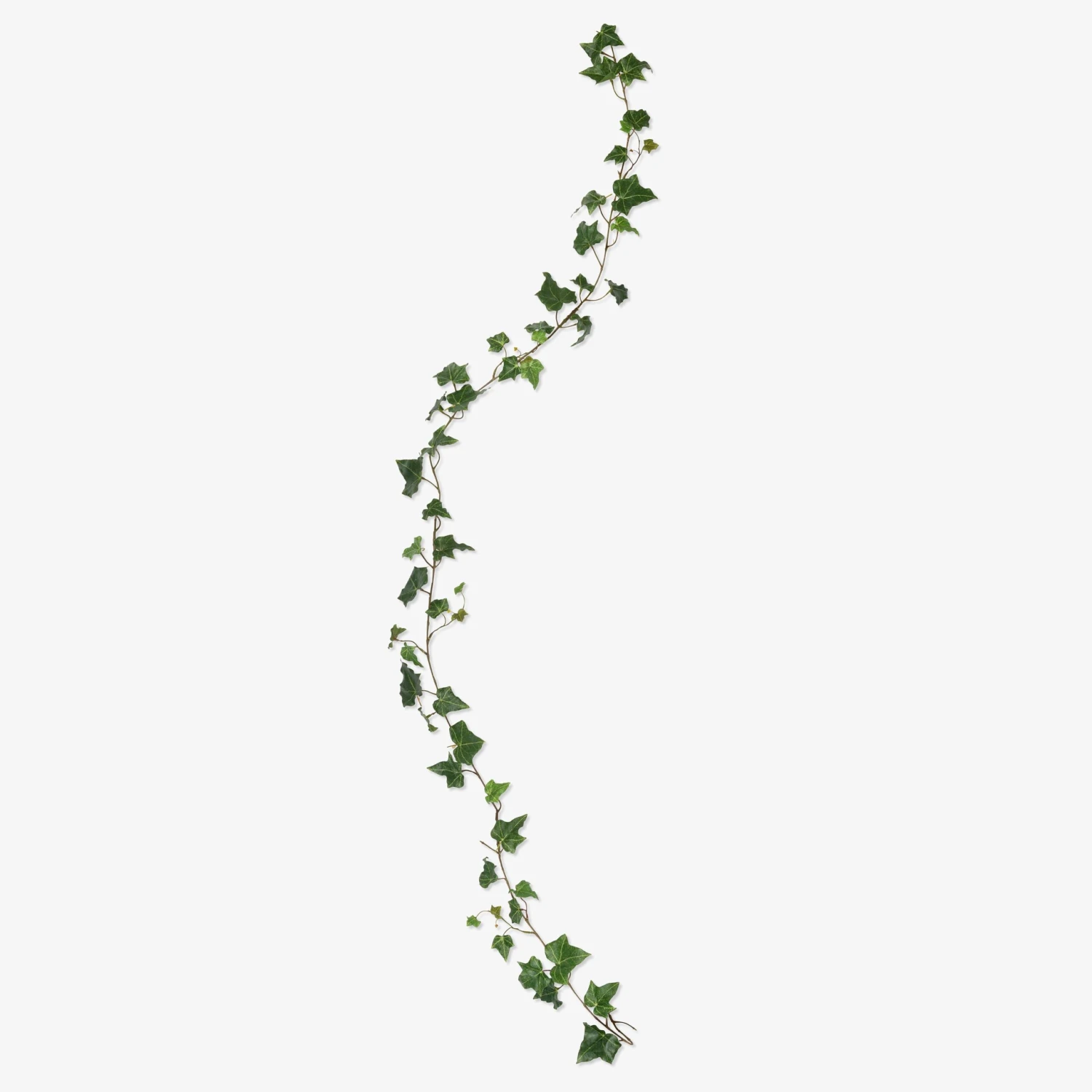 Girlande Kunst Efeu 180 Cm 5 Girlande Kunst Efeu 180 Cm – Bild 5