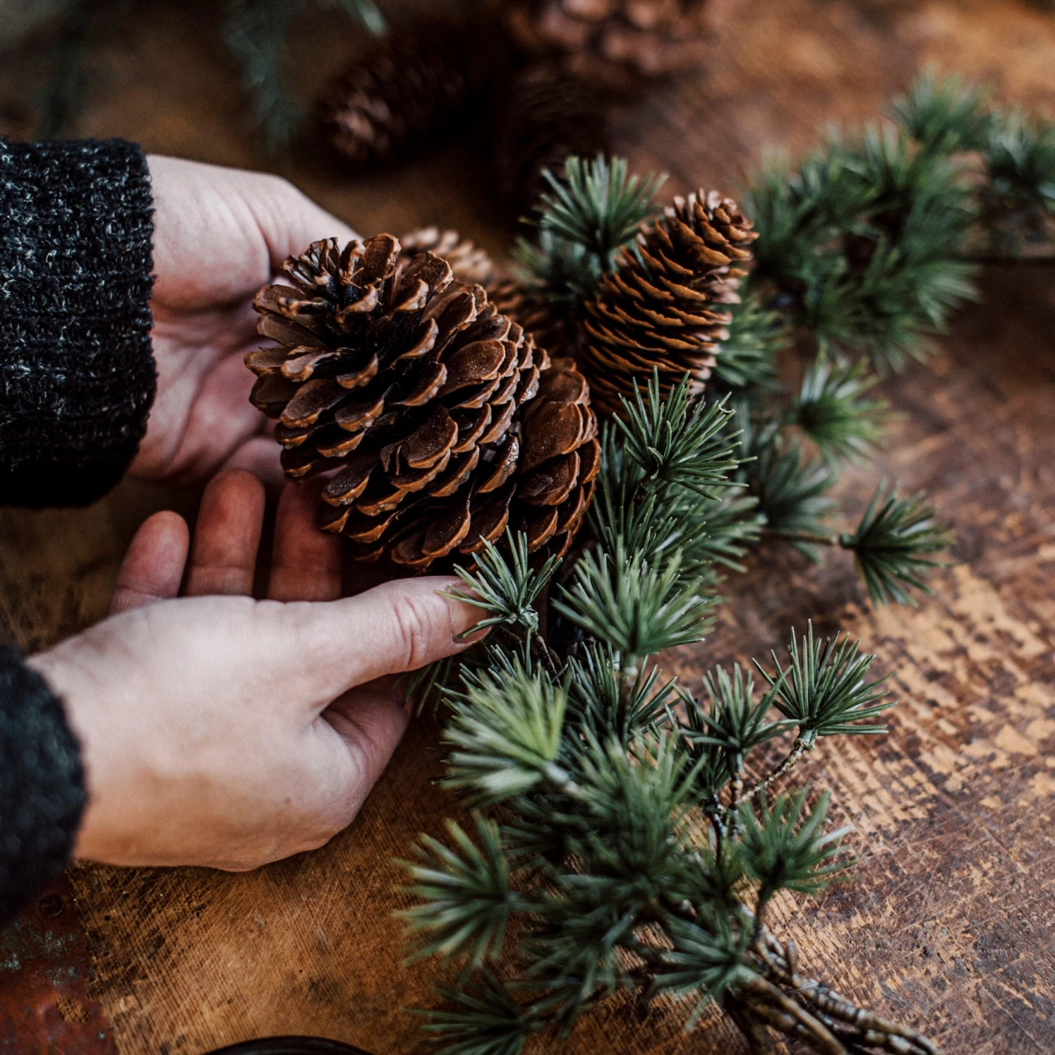 Zapfen Dekoration 6 Zapfen Dekoration – Bild 6