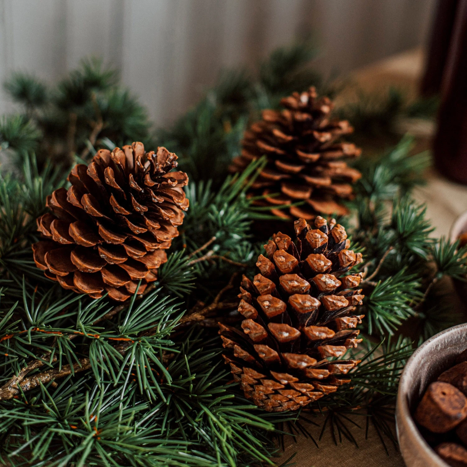 Zapfen Dekoration Groß 4 Zapfen Dekoration Groß – Bild 4