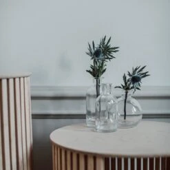 Vase Ableger H 10 Cm -Home Essentials Günstiges Geschäft 401476 32252