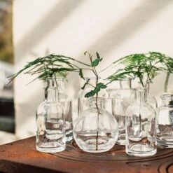 Vase Ableger H 10 Cm -Home Essentials Günstiges Geschäft 401476 33622