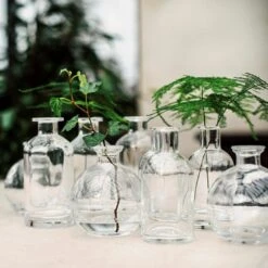 Vase Ableger H 12 Cm -Home Essentials Günstiges Geschäft 401477 33621